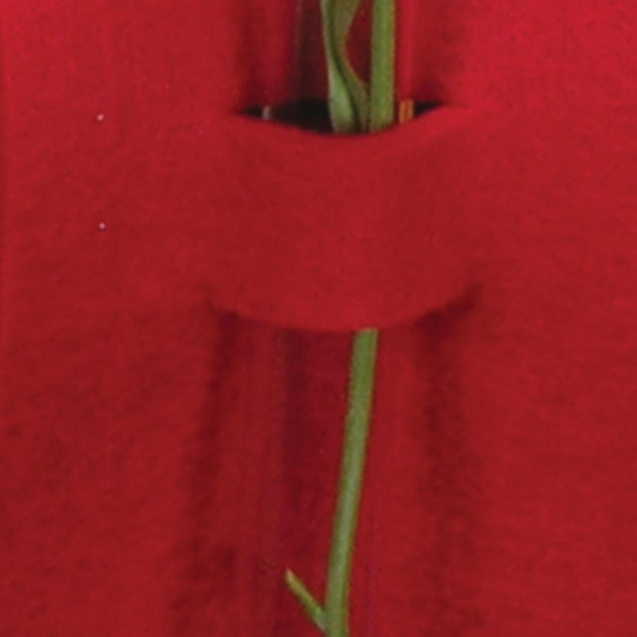 The Ribbon People Club Pack of 16 Radiant Red Felt with Glass Flower Vases 4"